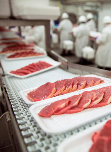 Food conveyor belt handling meat